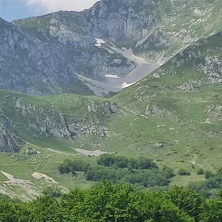 ŽabljakDurmitorska Koliba Sa Kupatilom别墅 外观 照片